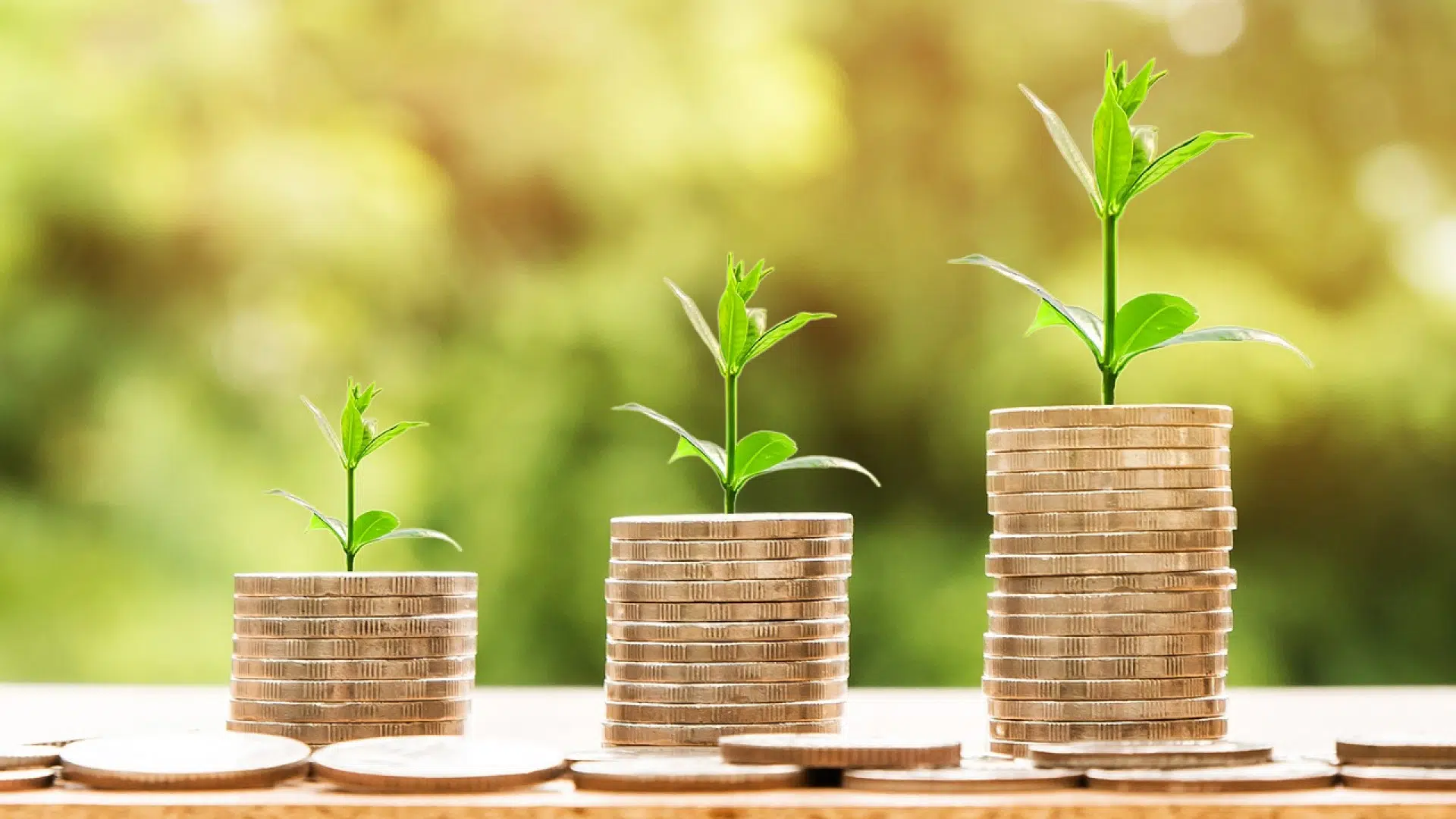 Choisir une banque : pourquoi devriez-vous utiliser un comparateur pour trouver le bon établissement ?